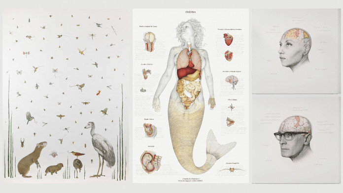 Exposição de Walmor Corrêa no Tomie Ohtake une arte, natureza e fantasia