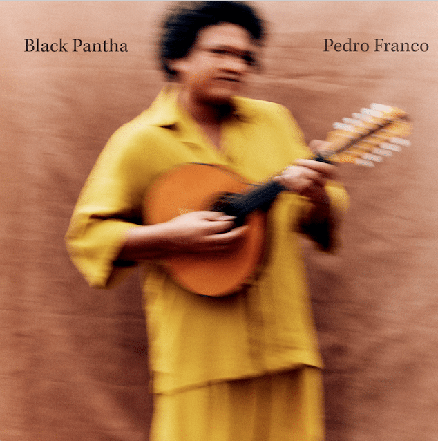 revistaprosaversoearte.com - Multi-instrumentista Pedro Franco lança álbum autoral 'Black Pantha'