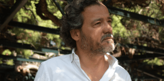 ‘Trocando em miúdos – José Pedro Gil revisita Chico Buarque’, álbum do cantor português
