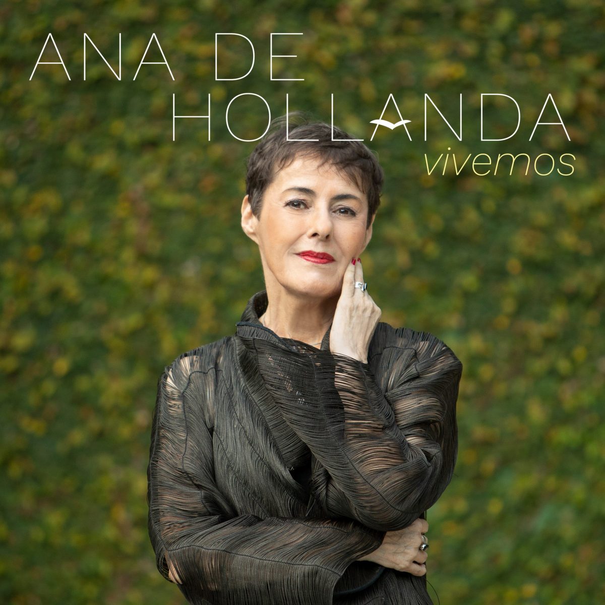 revistaprosaversoearte.com - 'Vivemos', álbum de Ana de Hollanda, lançado pela Biscoito Fino