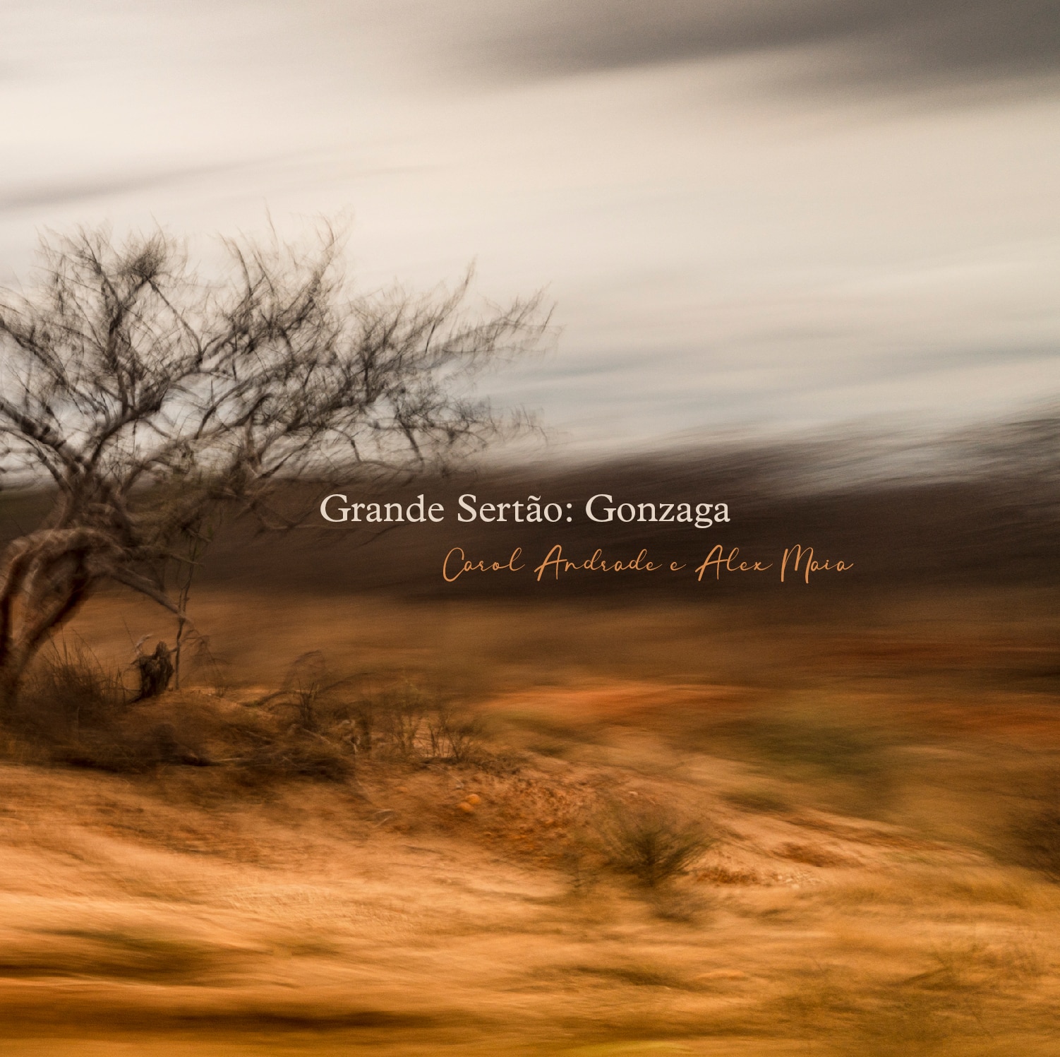 revistaprosaversoearte.com - Carol Andrade e Alex Maia lançam álbum 'Grande Sertão: Gonzaga'