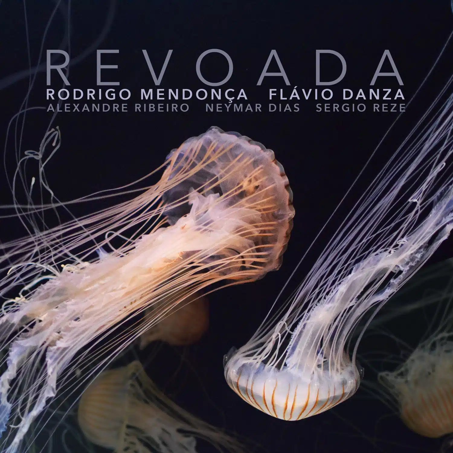 Duo Rodrigo Mendonça e Flávio Danza lançam álbum audiovisual 'Revoada' revistaprosaversoearte.com - Duo Rodrigo Mendonça e Flávio Danza lançam álbum audiovisual 'Revoada'