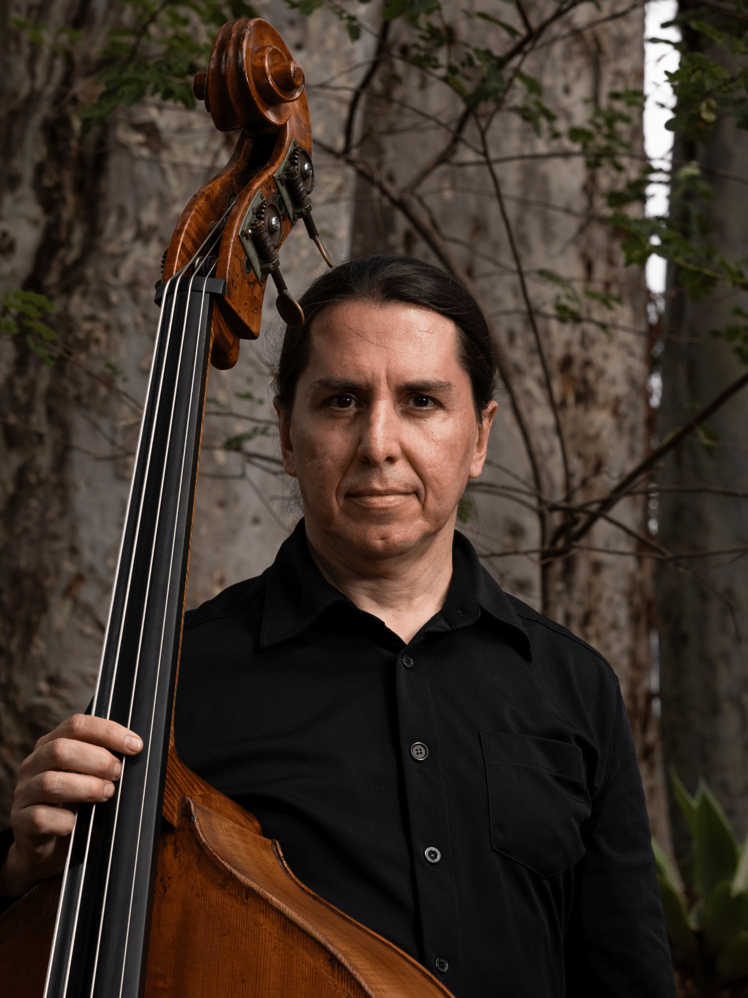 revistaprosaversoearte.com - Festival Ilumina - Concertos gratuitos em S&atilde;o Paulo