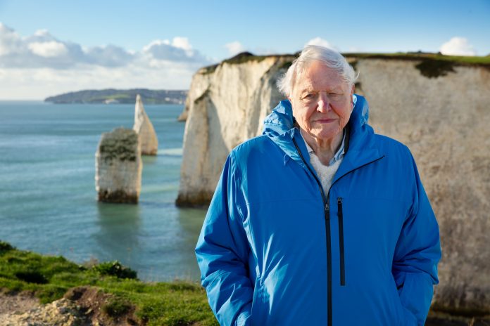 A poderosa e otimista mensagem sobre o futuro do planeta de David Attenborough aos 99 anos