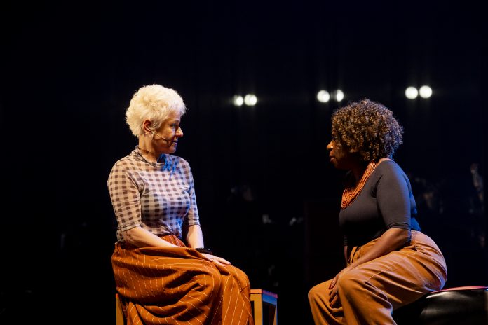 Espetáculo ‘Nossa História com Chico Buarque’ estreia curta temporada no Teatro João Caetano