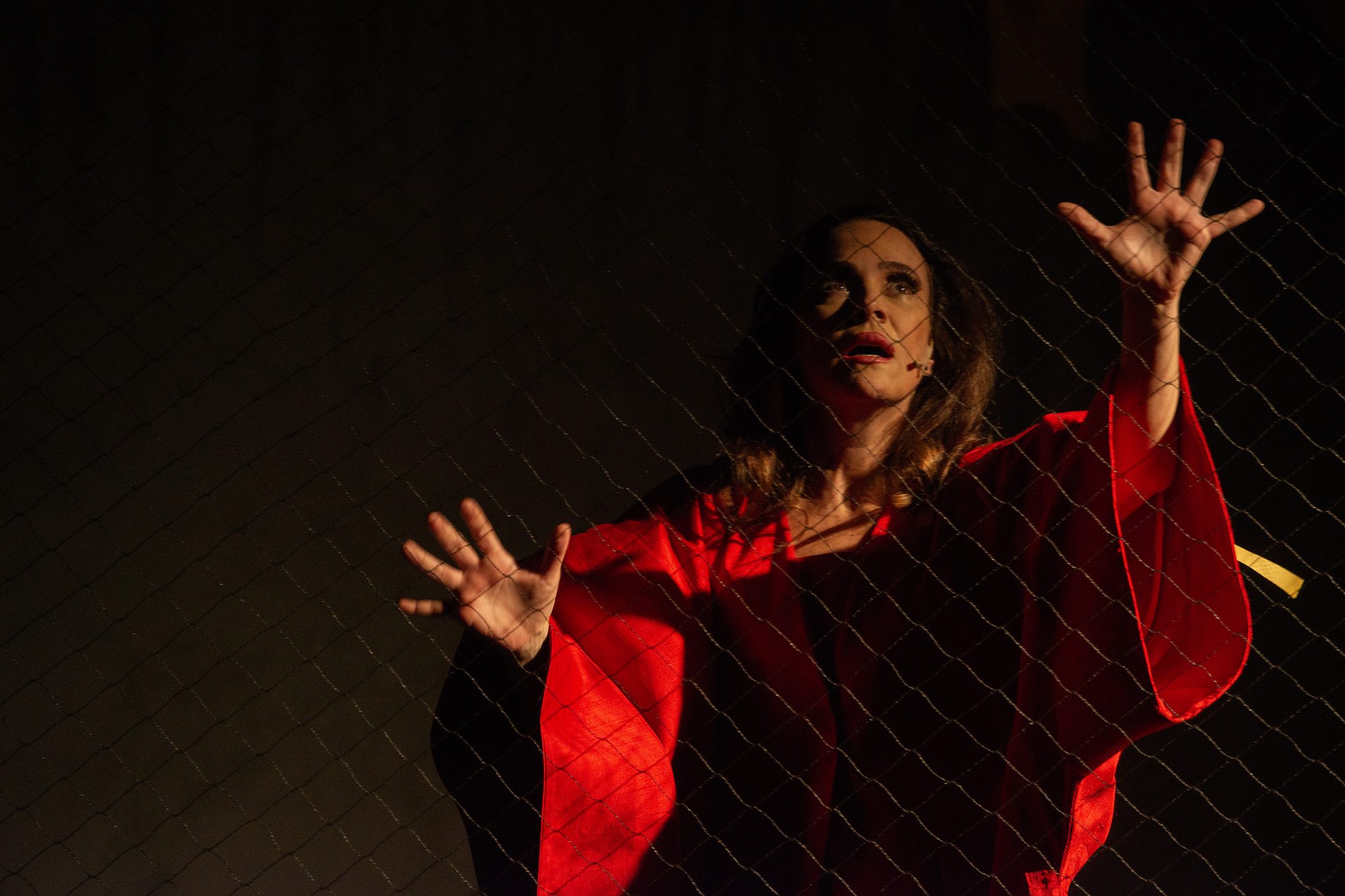 Espetáculo O papel de parede amarelo e EU, em nova temporada Teatro FAAP revistaprosaversoearte.com - Espetáculo O papel de parede amarelo e EU, em nova temporada Teatro FAAP