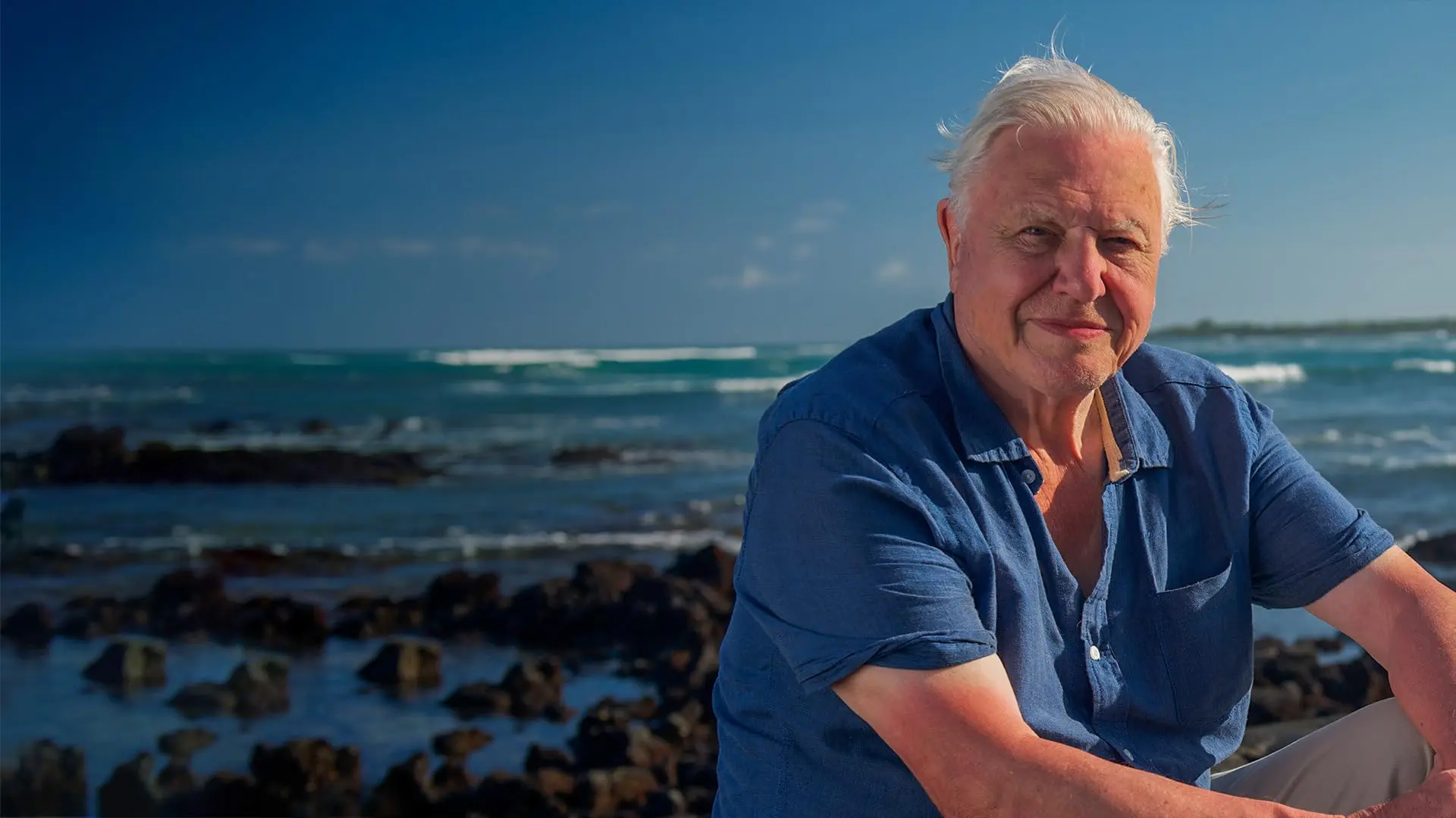 A poderosa e otimista mensagem sobre o futuro do planeta de David Attenborough aos 99 anos revistaprosaversoearte.com - A poderosa e otimista mensagem sobre o futuro do planeta de David Attenborough aos 99 anos