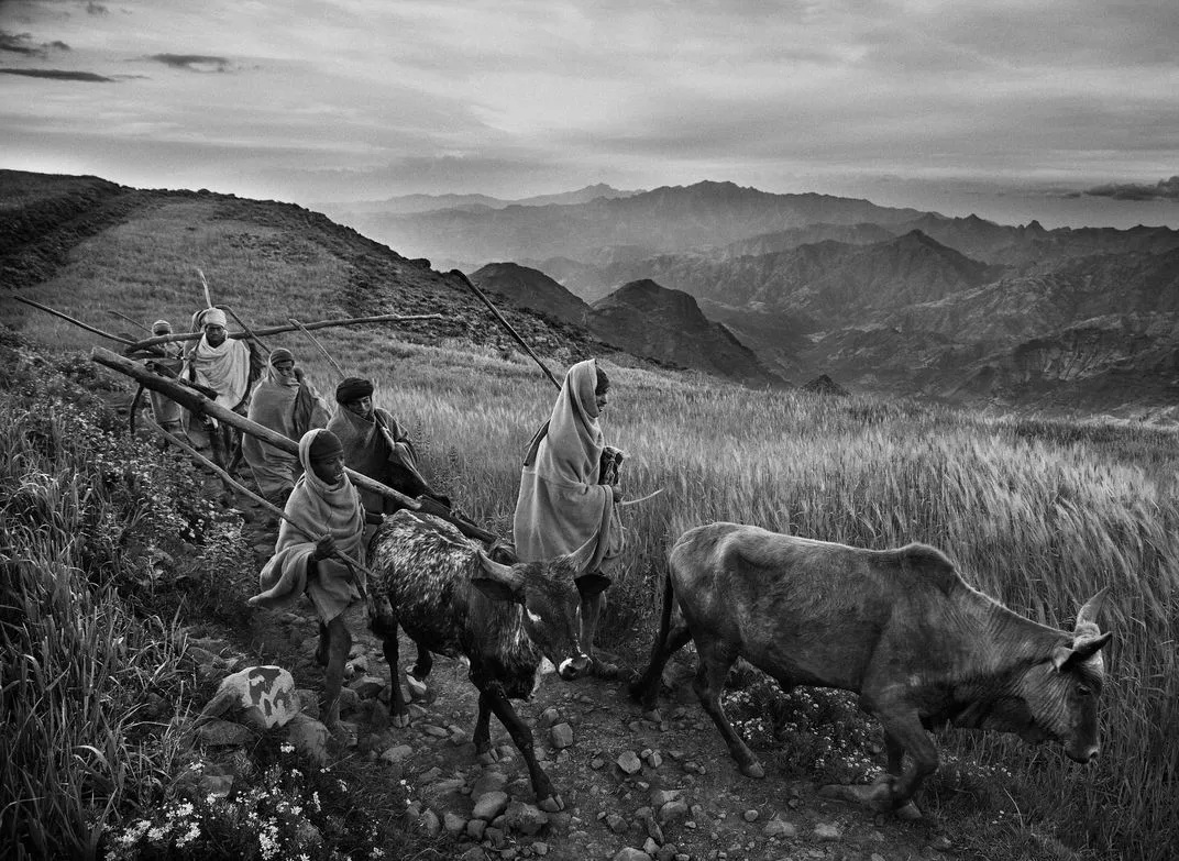 Seguindo os passos da rainha de Sabá, por Sebastião Salgado revistaprosaversoearte.com - Seguindo os passos da rainha de Sabá, por Sebastião Salgado
