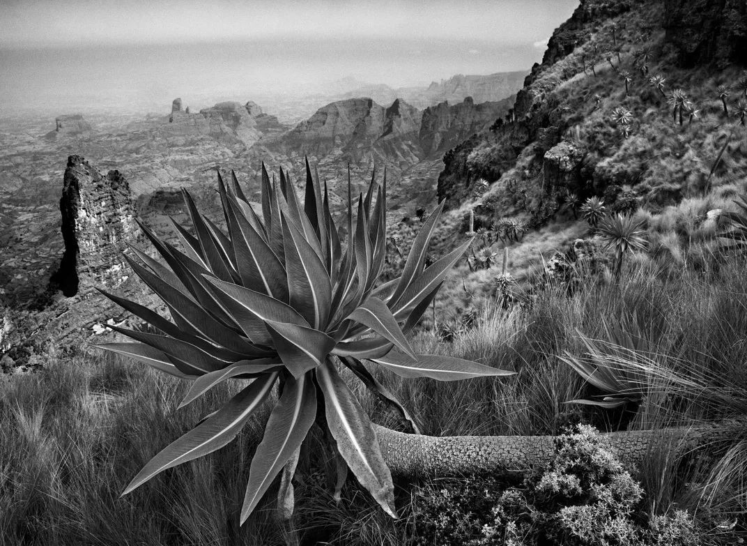 Seguindo os passos da rainha de Sabá, por Sebastião Salgado revistaprosaversoearte.com - Seguindo os passos da rainha de Sabá, por Sebastião Salgado