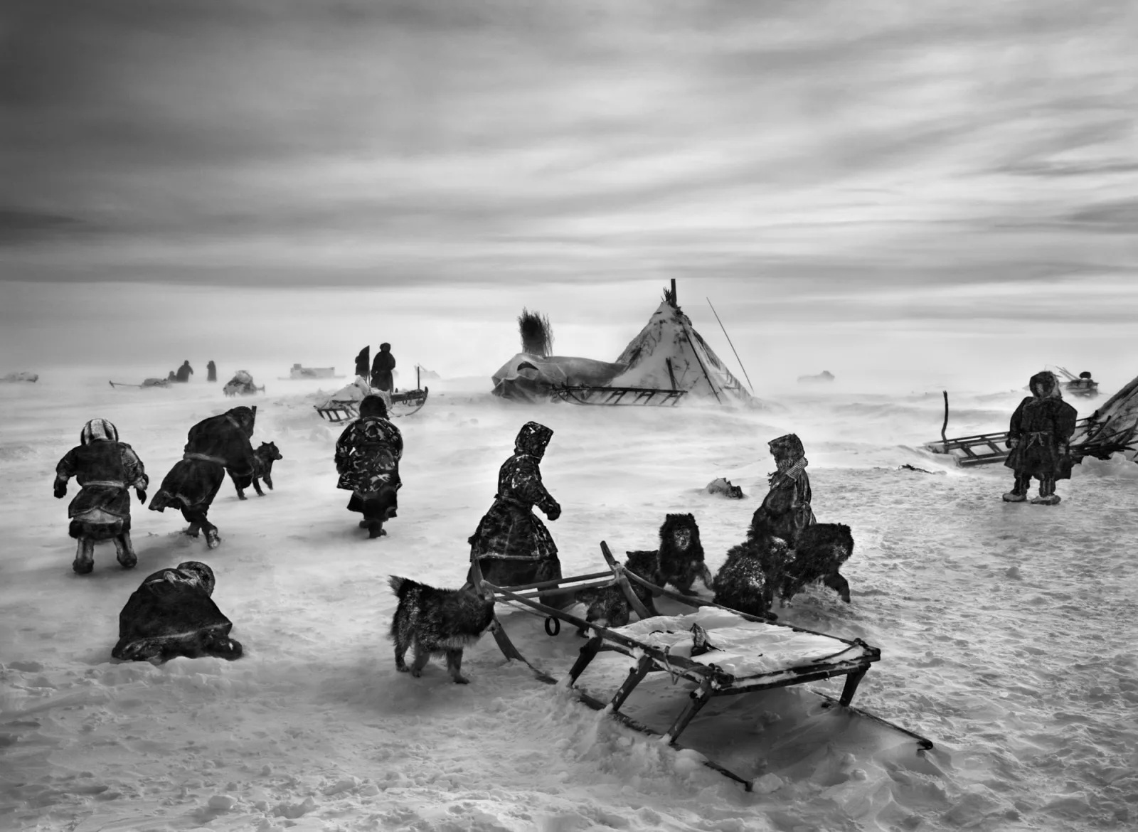 Sebastião Salgado e os Nenetses - os homens do frio revistaprosaversoearte.com - Sebastião Salgado e os Nenetses - os homens do frio