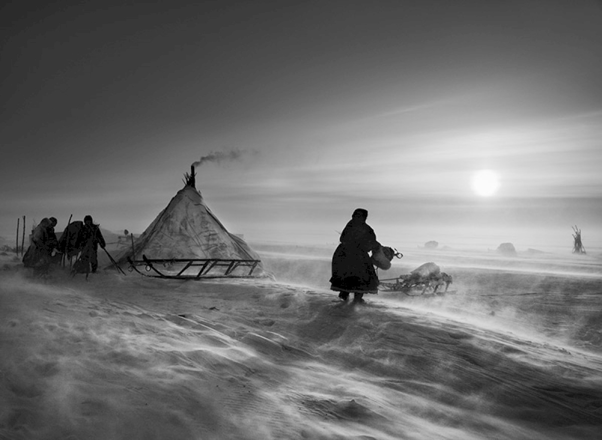 Sebastião Salgado e os Nenetses - os homens do frio revistaprosaversoearte.com - Sebastião Salgado e os Nenetses - os homens do frio