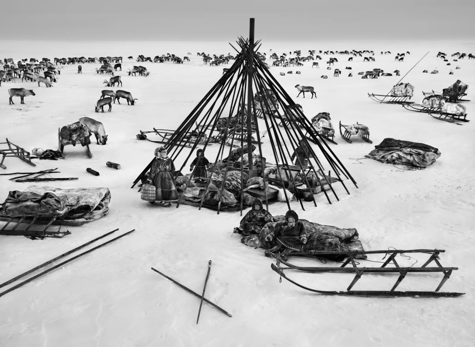Sebastião Salgado e os Nenetses - os homens do frio revistaprosaversoearte.com - Sebastião Salgado e os Nenetses - os homens do frio
