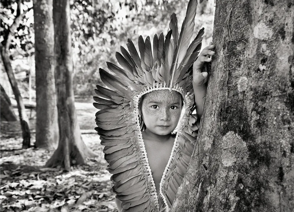 Sebastião Salgado: A fotografia, meu modo de vida revistaprosaversoearte.com - Sebastião Salgado: A fotografia, meu modo de vida
