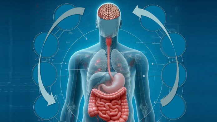 A incrível conexão entre intestino e cérebro que influencia a saúde e as emoções