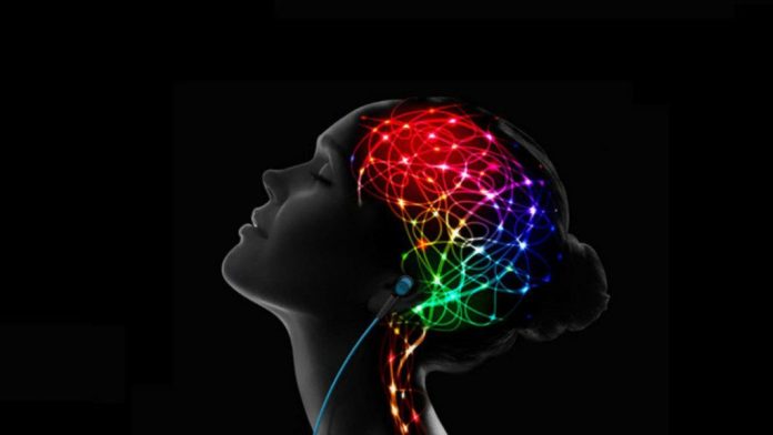 Dopamina: as caças ao bónus e as perspectivas da neurociência