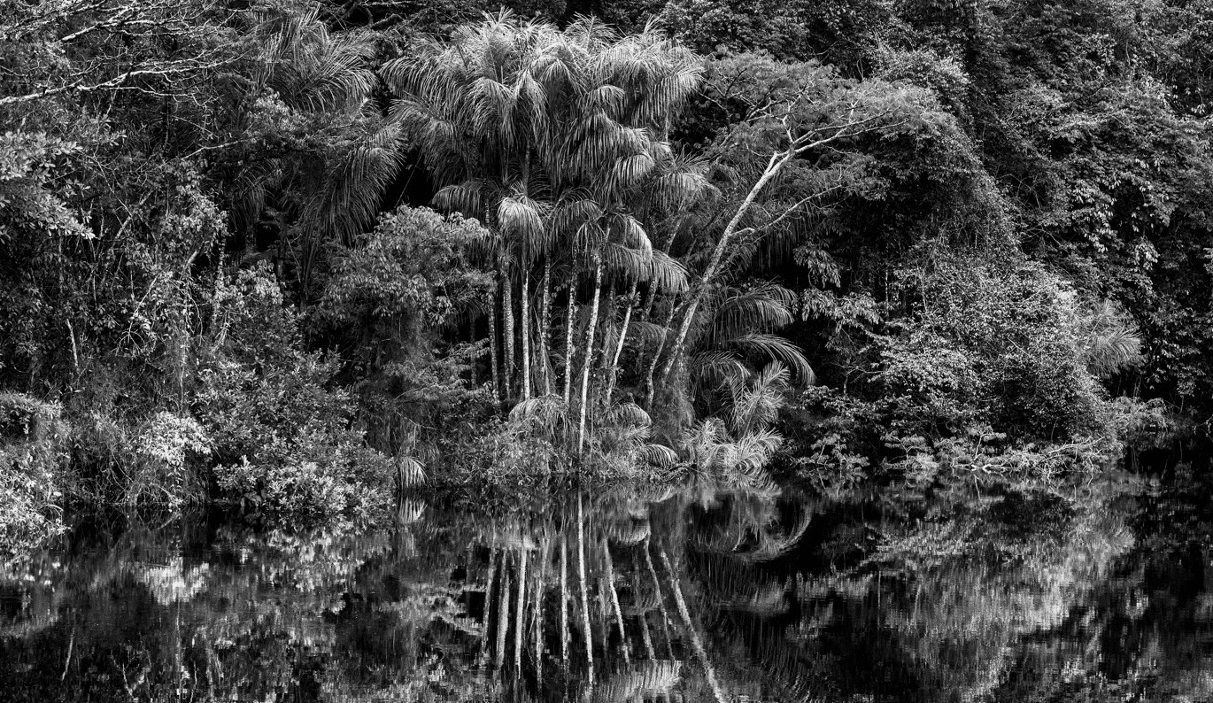revistaprosaversoearte.com - Sebasti&atilde;o Salgado: A fotografia, meu modo de vida