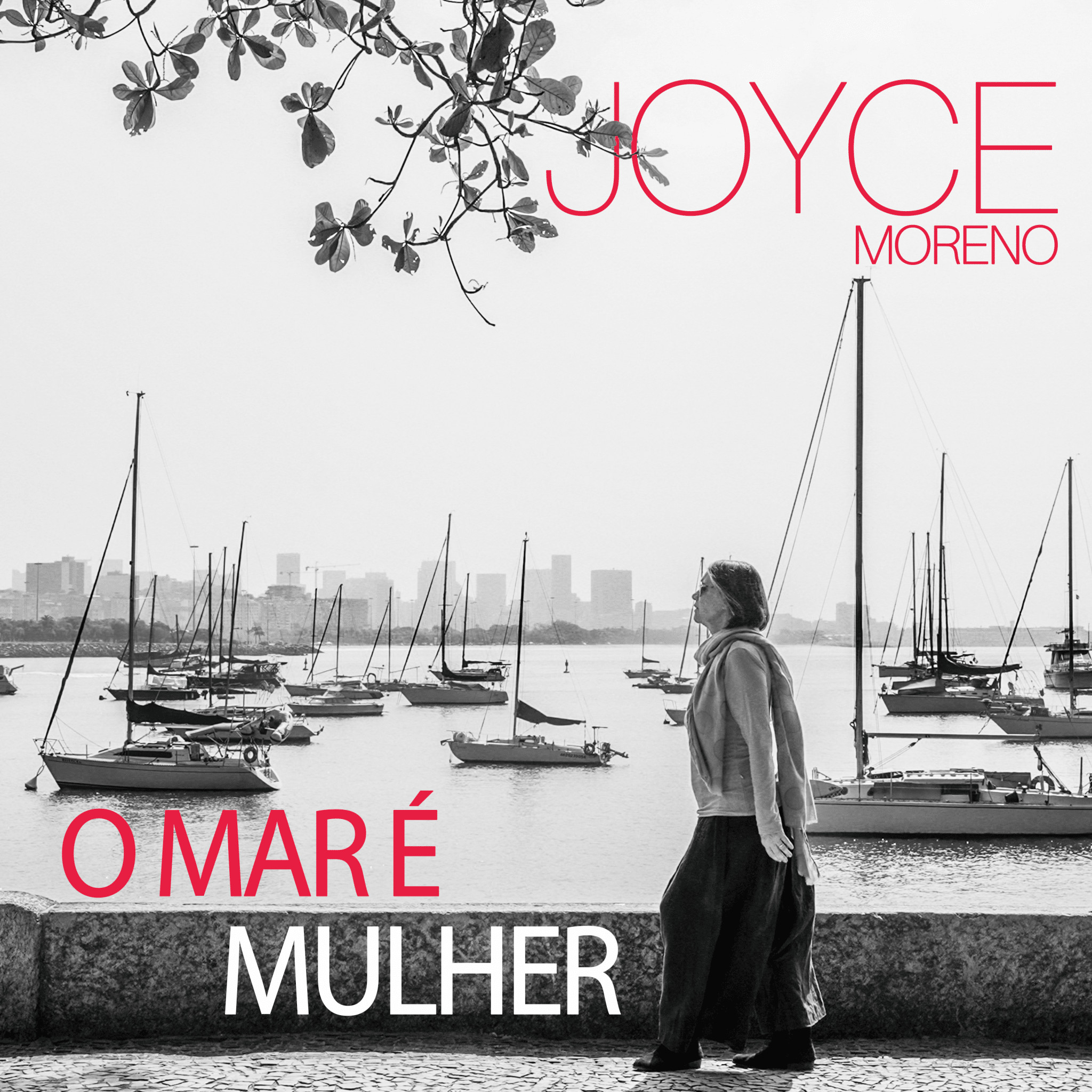 revistaprosaversoearte.com - Joyce Moreno lan&ccedil;a &aacute;lbum autoral 'O mar &eacute; mulher'