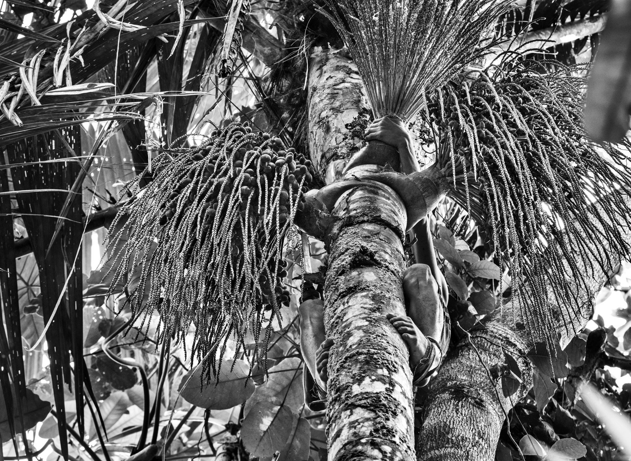 revistaprosaversoearte.com - E o homem em tudo isso?, por Sebastião Salgado