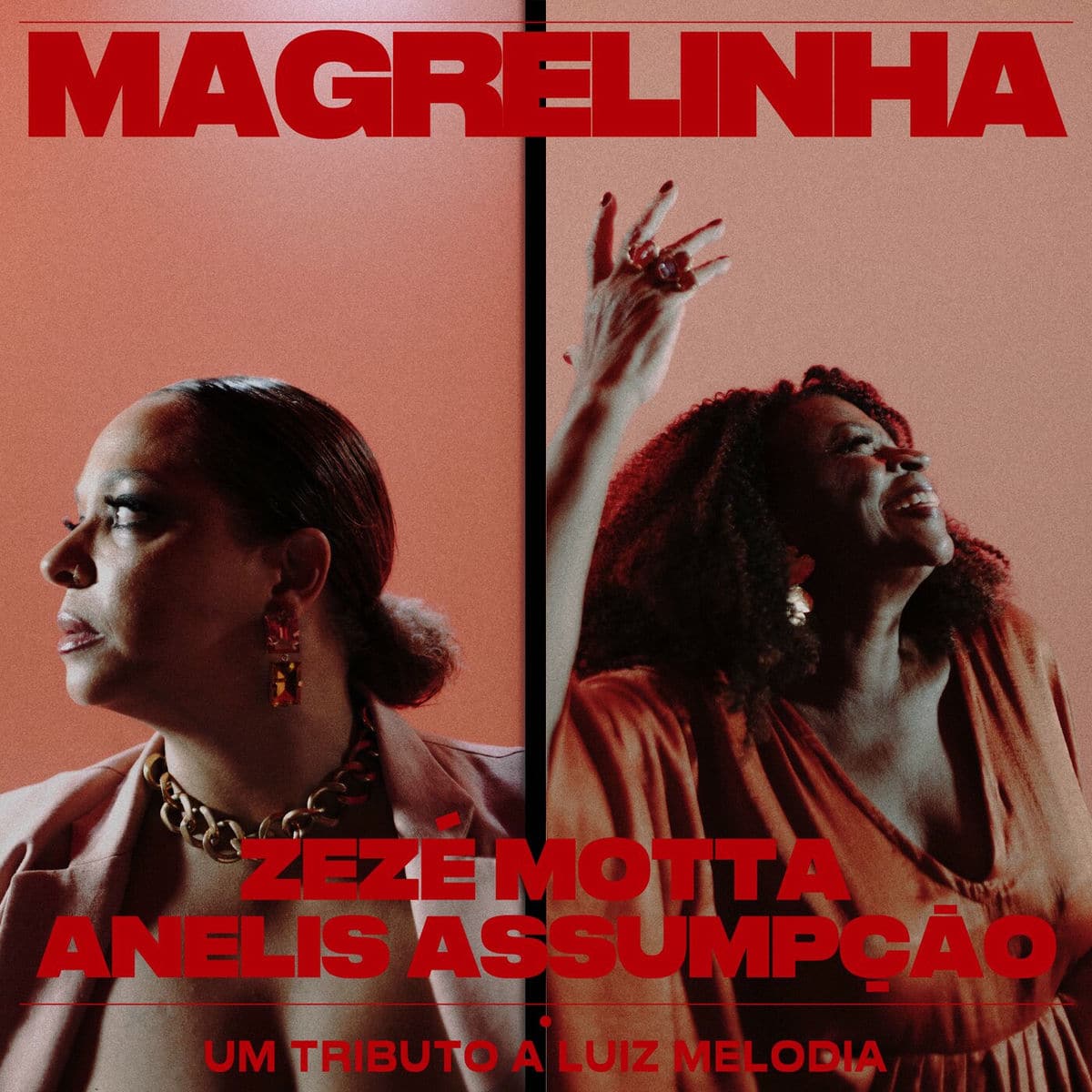 revistaprosaversoearte.com - Zez&eacute; Motta - uma discografia (com ficha t&eacute;cnica)