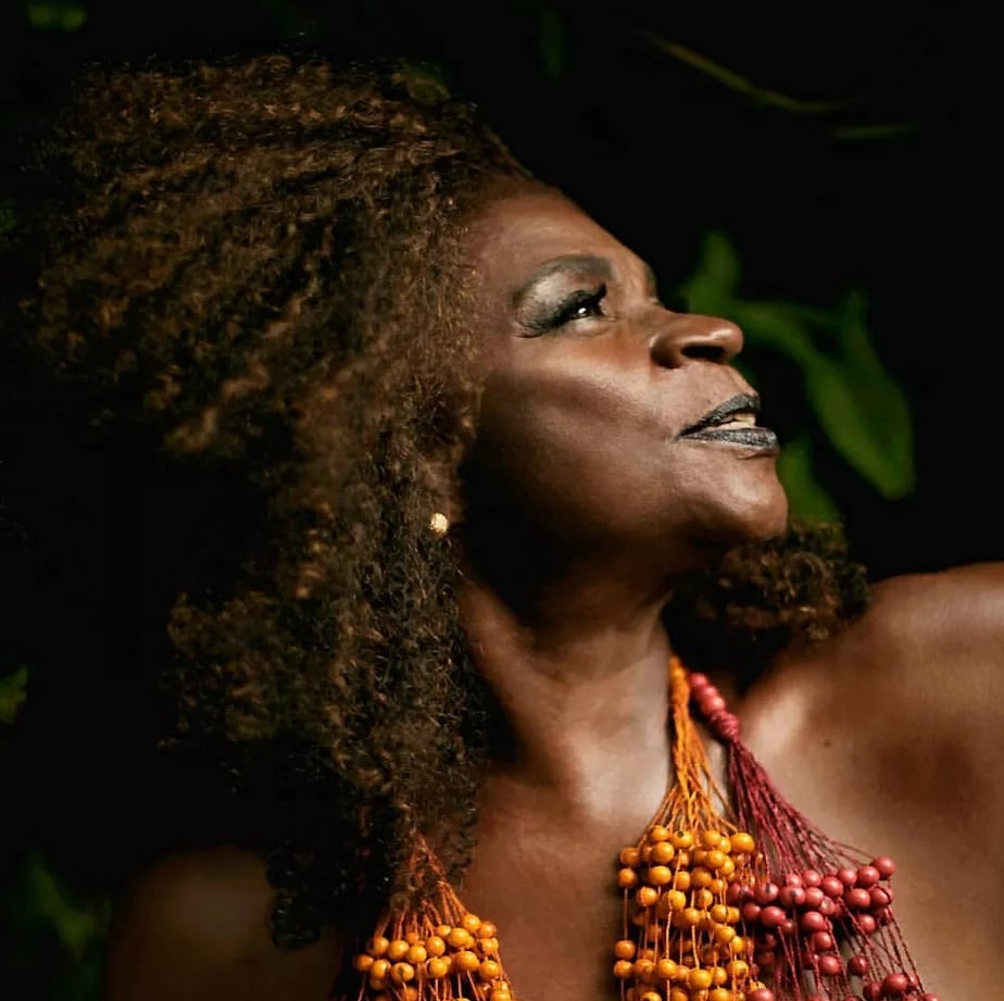 revistaprosaversoearte.com - Zez&eacute; Motta - uma discografia (com ficha t&eacute;cnica)