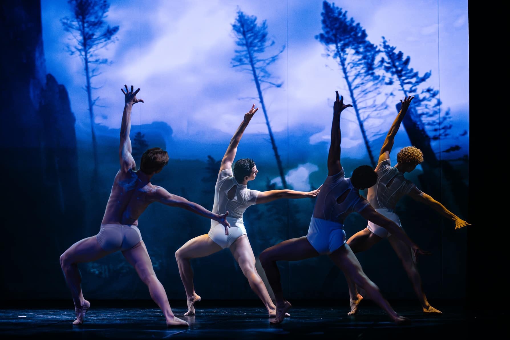 revistaprosaversoearte.com - Cia. Paulista de Dan&ccedil;a Adriana Assaf apresenta Idiossincrasia &ndash; Temperamento Humano | Curta temporada no  Teatro J. Safra
