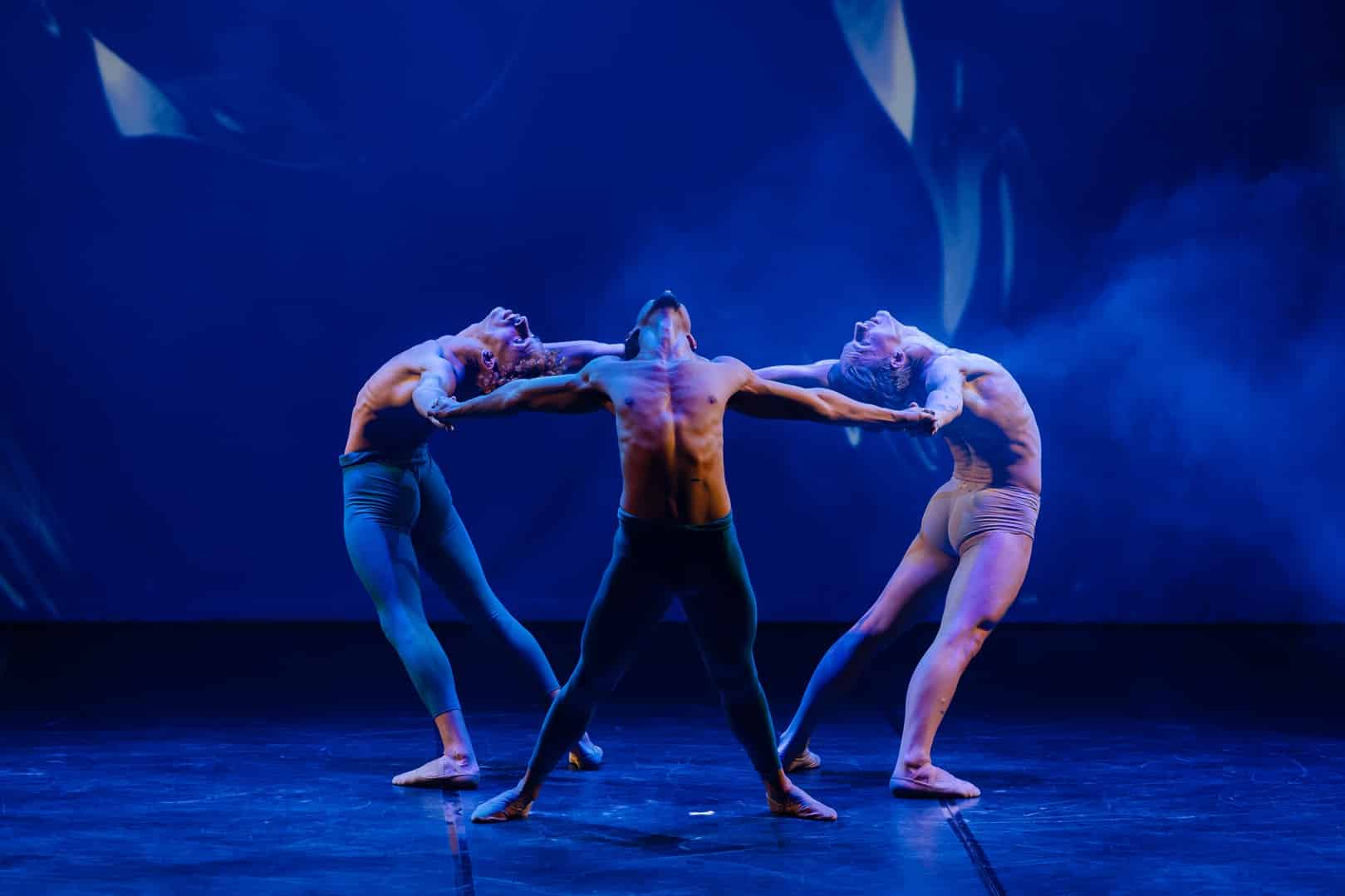 revistaprosaversoearte.com - Cia. Paulista de Dan&ccedil;a Adriana Assaf apresenta Idiossincrasia &ndash; Temperamento Humano | Curta temporada no  Teatro J. Safra