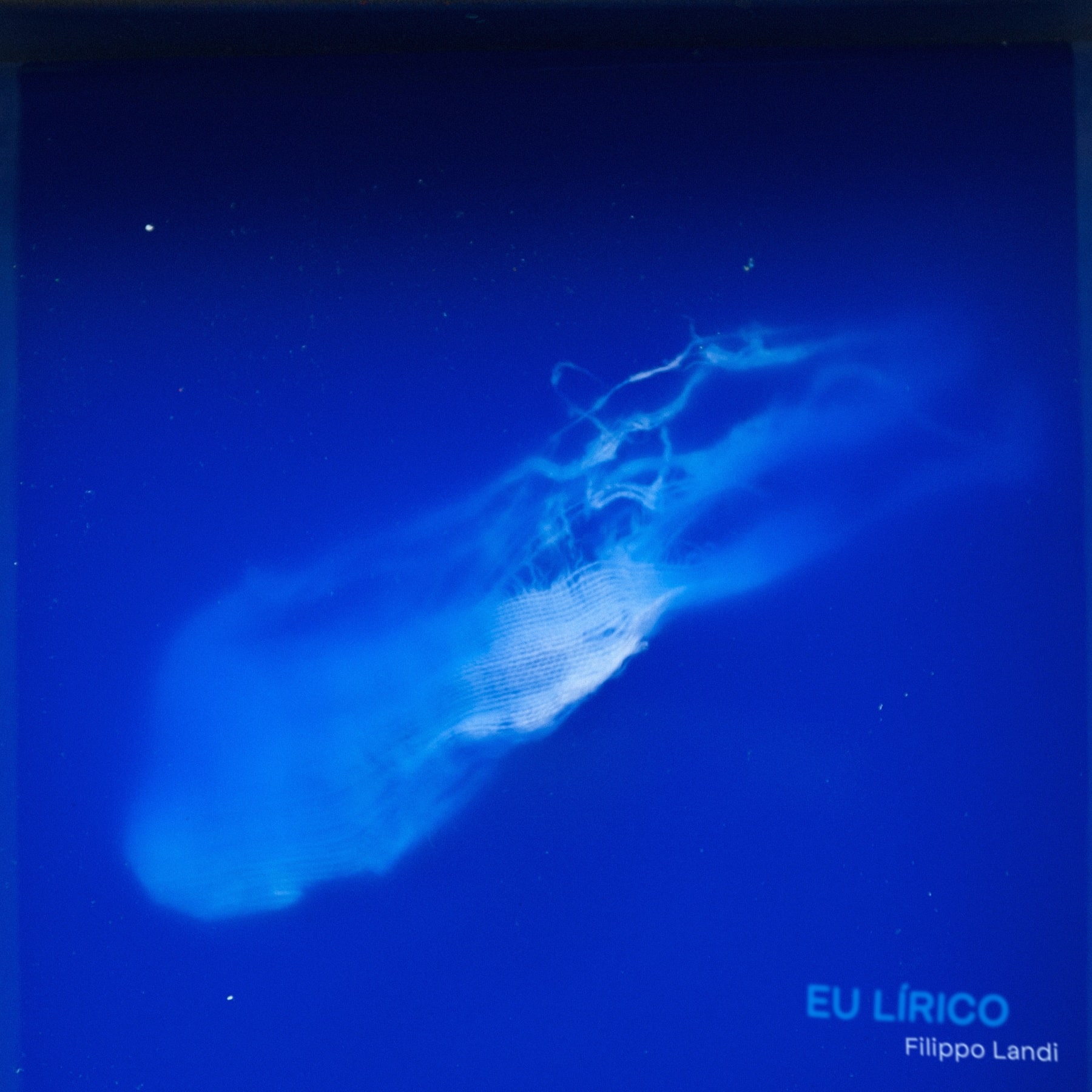 revistaprosaversoearte.com - Filippo Landi lan&ccedil;a &aacute;lbum 'Eu L&iacute;rico', pela Azul Music