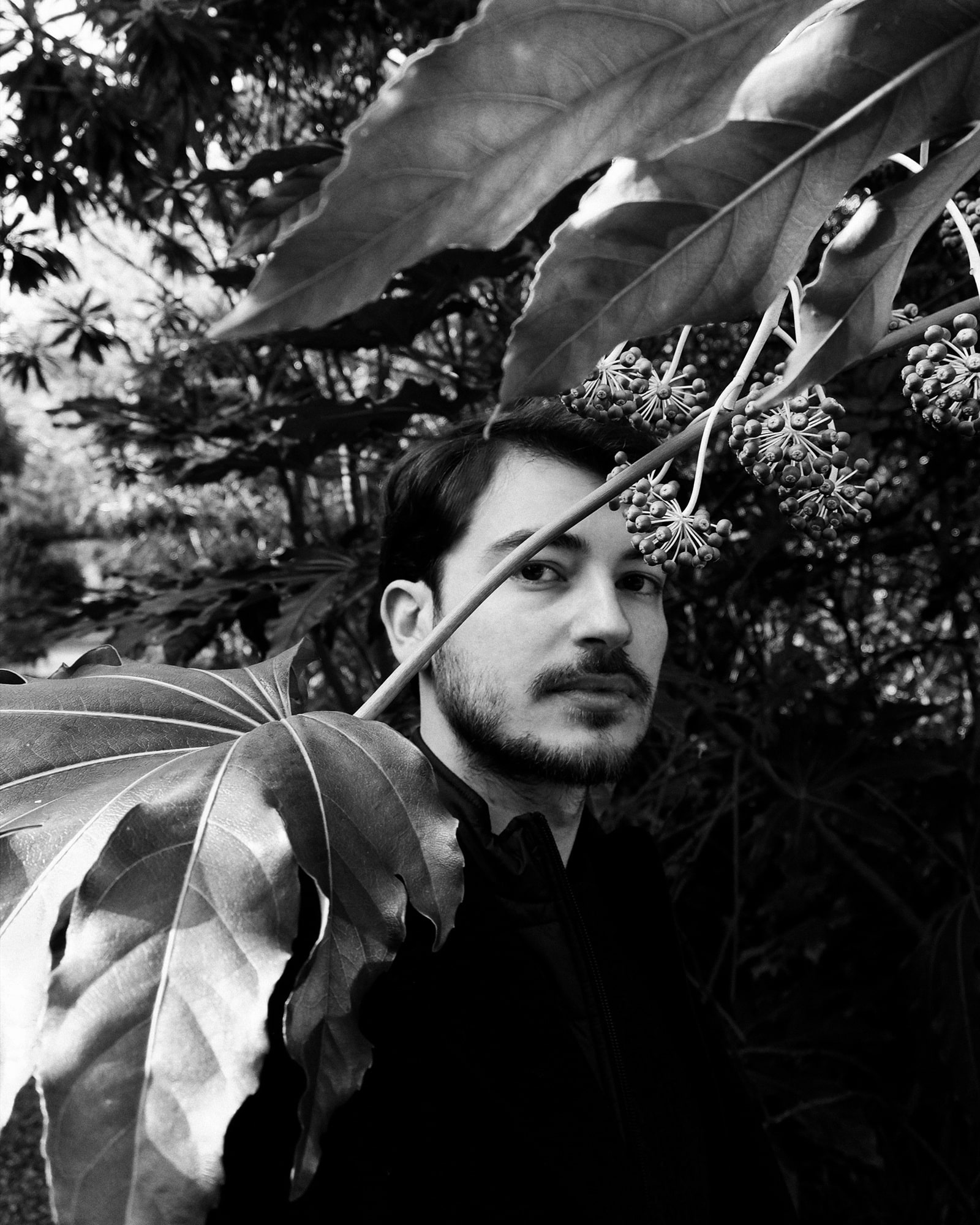 revistaprosaversoearte.com - Filippo Landi lan&ccedil;a &aacute;lbum 'Eu L&iacute;rico', pela Azul Music