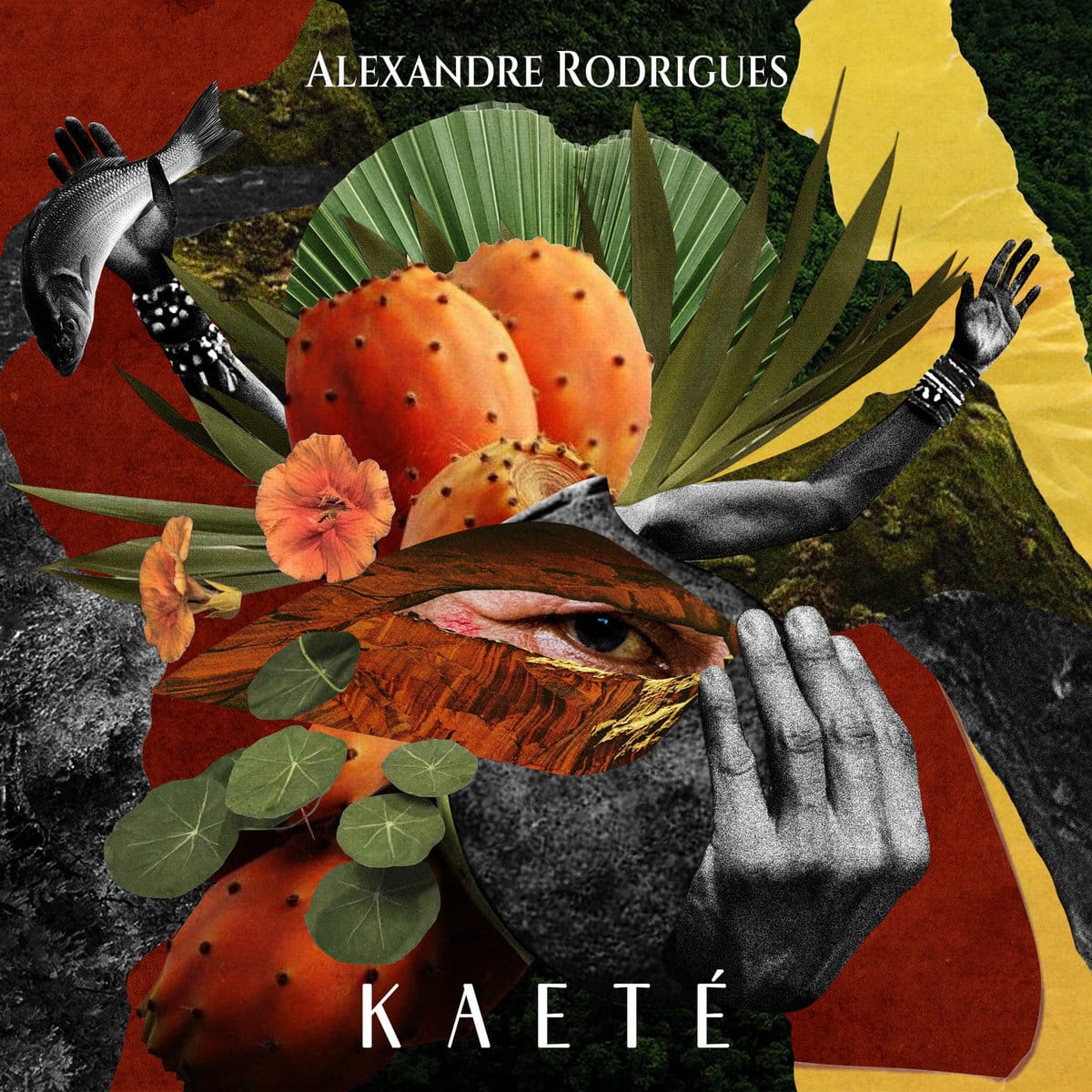 Alexandre Rodrigues lança álbum 'Kaeté' revistaprosaversoearte.com - Alexandre Rodrigues lança álbum 'Kaeté'