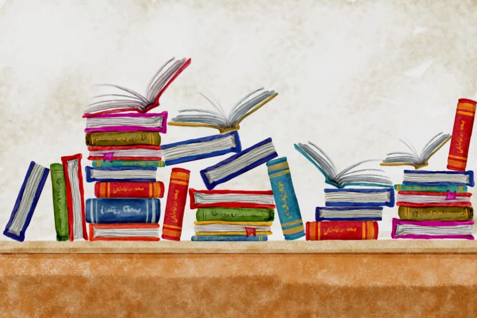 A literatura como empiria reveladora da realidade, por Paulo Baía