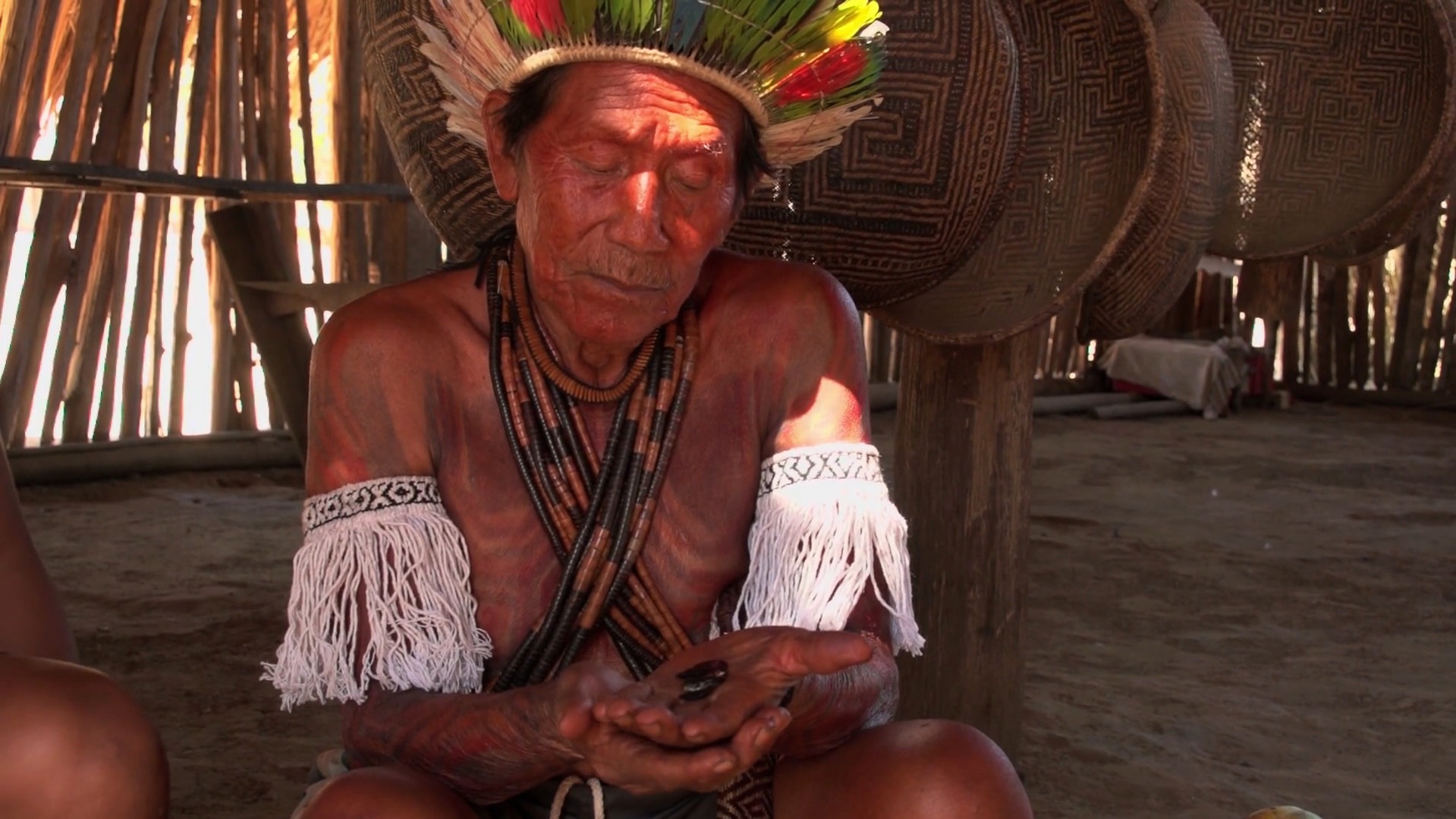 revistaprosaversoearte.com - Museu do Jardim Bot&acirc;nico no Rio de Janeiro recebe Mostra Internacional Sommos Amaz&ocirc;nia: Olhares do Cinema Ind&iacute;gena