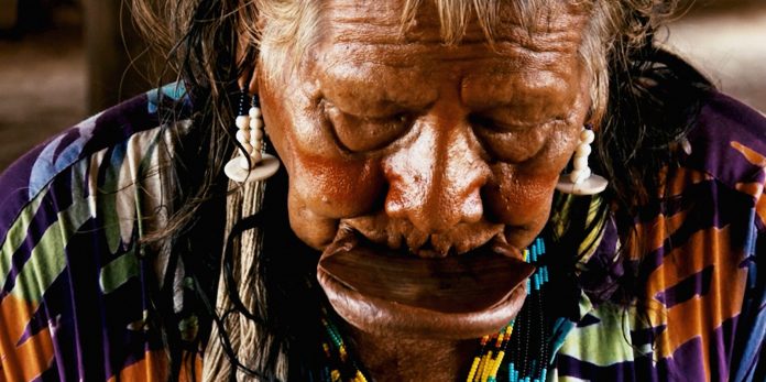 Museu do Jardim Botânico no Rio de Janeiro recebe Mostra Internacional Sommos Amazônia: Olhares do Cinema Indígena