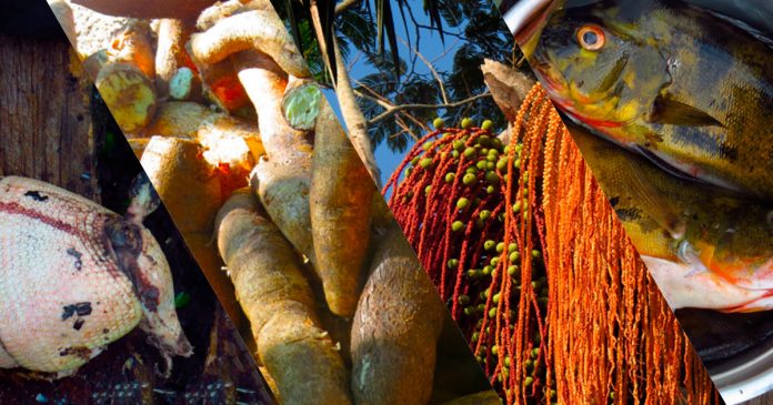 Sem peixe nem tapioca: mudança na alimentação ameaça cultura e saúde de ribeirinhos da Amazônia