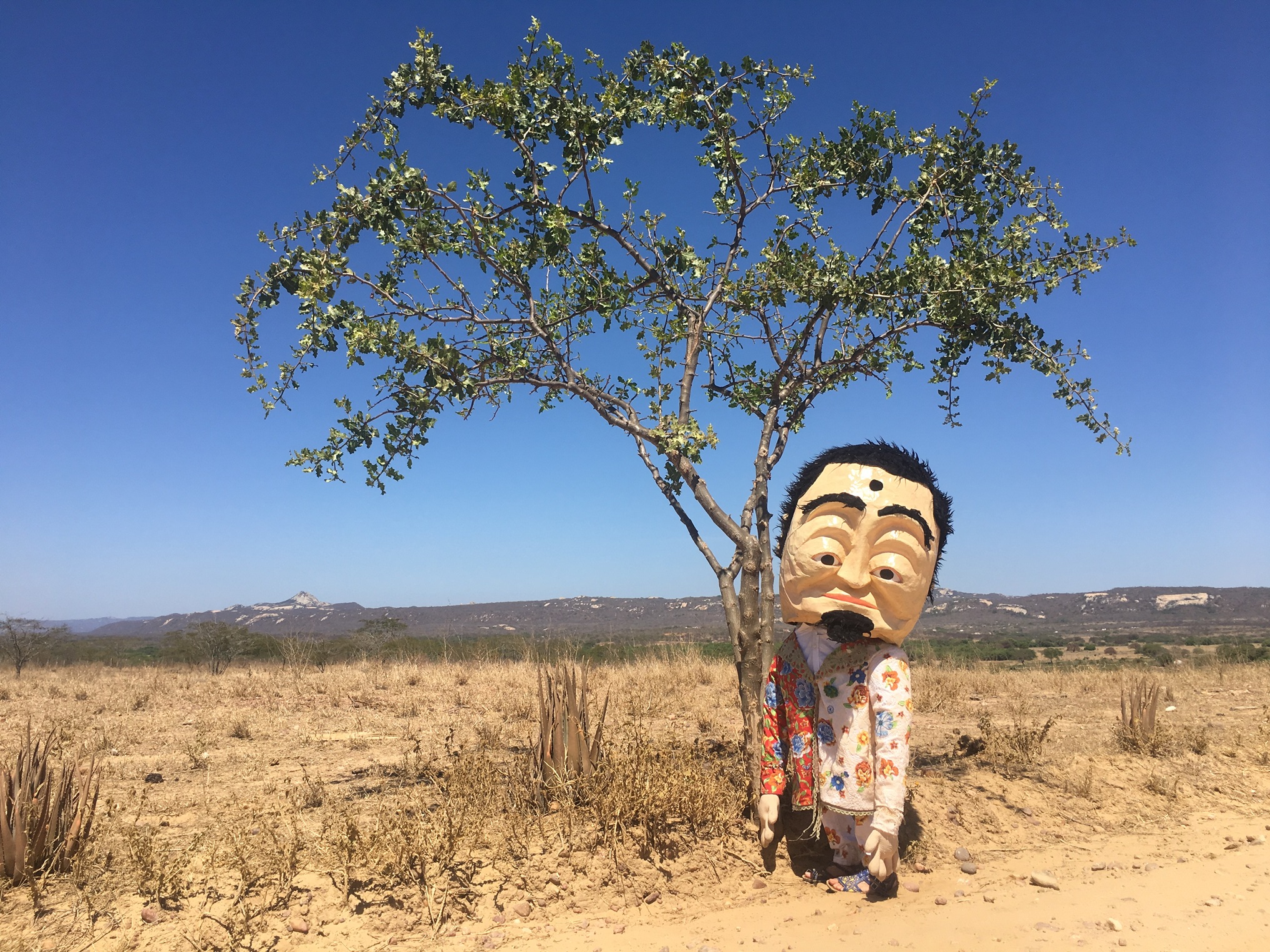 revistaprosaversoearte.com - Companhia Ensaio Aberto recebe Maria Eug&ecirc;nia Tita para apresenta&ccedil;&otilde;es e oficina gratuitas