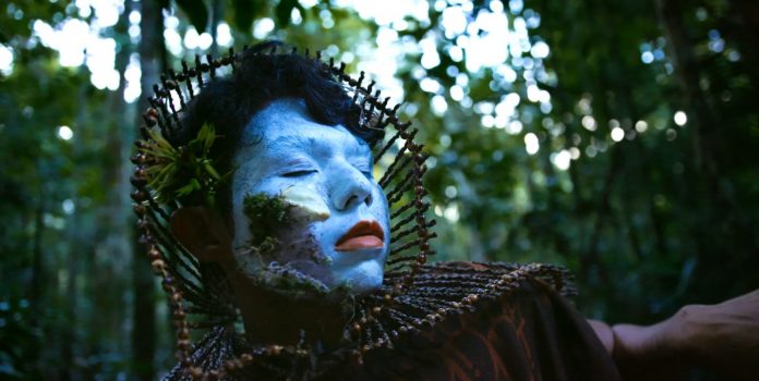 COP 30 | Sommos Amazônia lança coleções ‘Coleção COP 30’ e ‘Audiovisual Indígena: da Amazônia para o mundo’