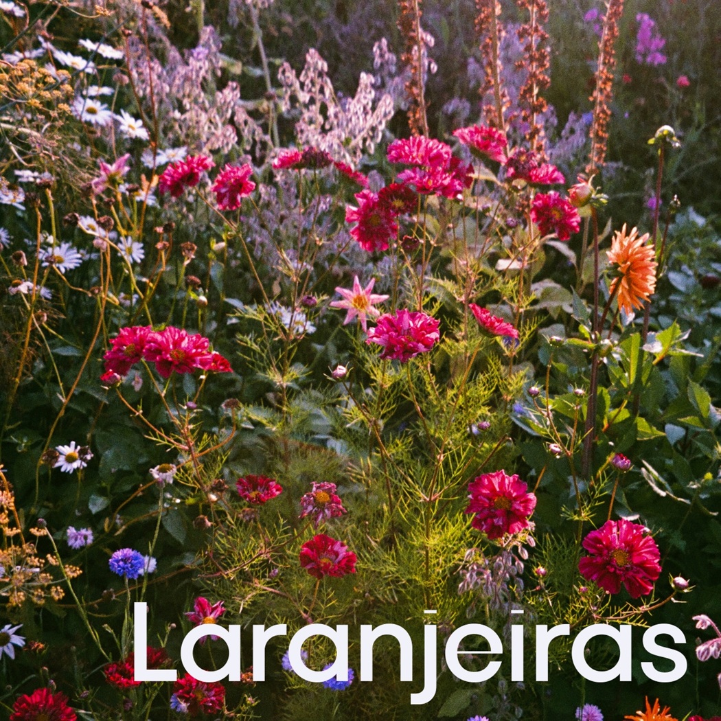 revistaprosaversoearte.com - Soma Soma lan&ccedil;a single 'Laranjeiras', unindo energia do samba carioca com toque psicod&eacute;lico