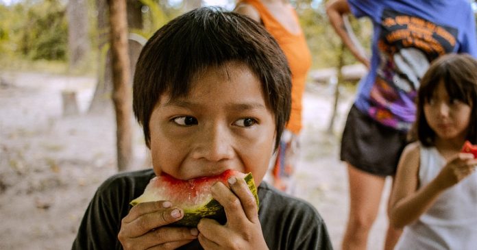 “Tempo de viver” indígena convida a repensar o modo de vida ocidental