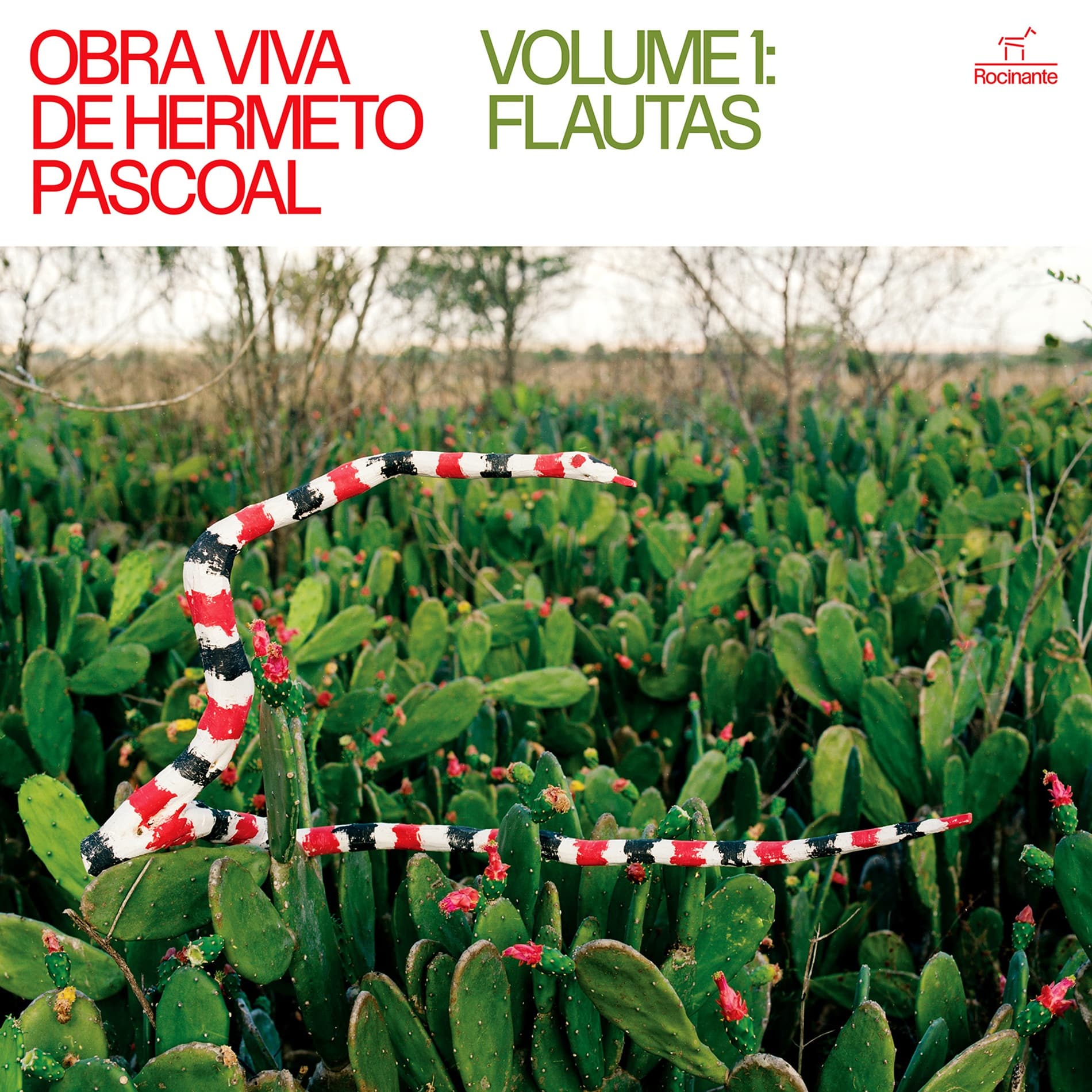 revistaprosaversoearte.com - Rocinante lan&ccedil;a &aacute;lbum &ldquo;Obra viva de Hermeto Pascoal - Vol. 1 Flautas&rdquo;, revelando tesouros in&eacute;ditos do acervo do Campe&atilde;o