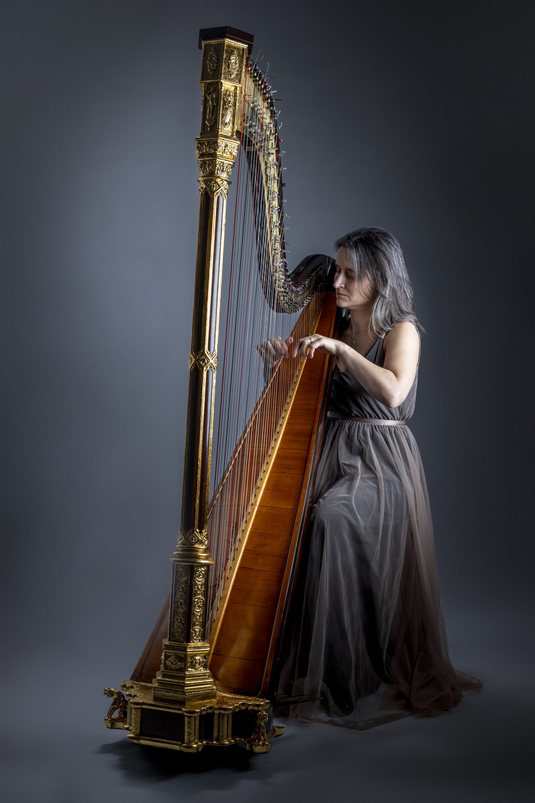 revistaprosaversoearte.com - Paola Baron lan&ccedil;a &aacute;lbum 'Thomas: 12 Studies for Harp'