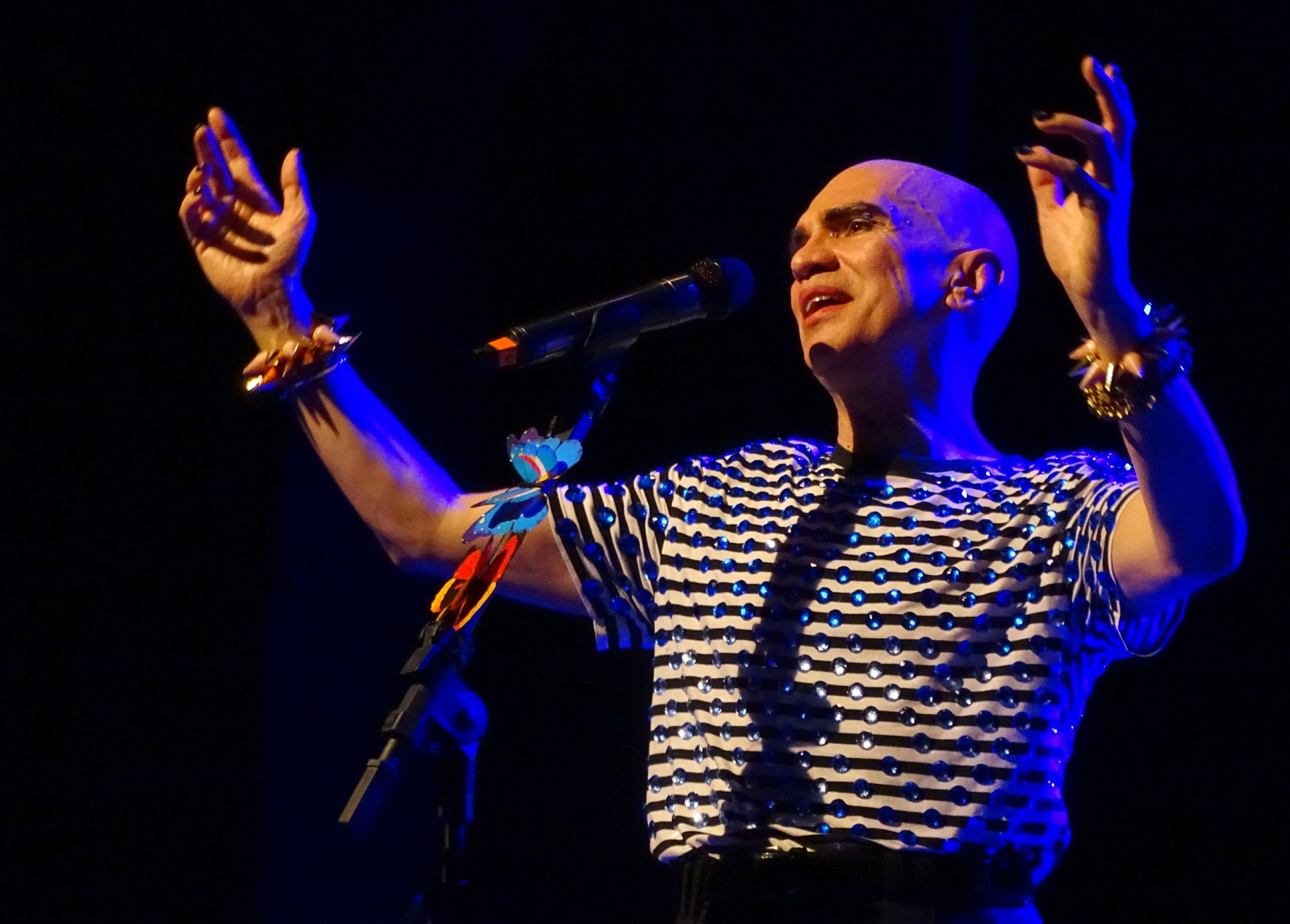 Edson Cordeiro canta Carmen Miranda e outros bambas no Teatro J. Safra revistaprosaversoearte.com - Edson Cordeiro canta Carmen Miranda e outros bambas no Teatro J. Safra