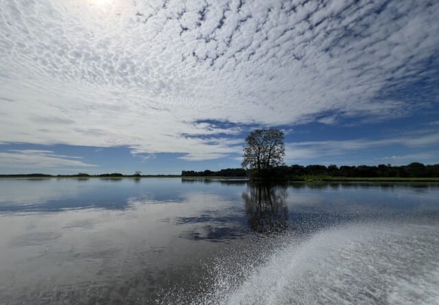revistaprosaversoearte.com - Sob press&atilde;o clim&aacute;tica, Amaz&ocirc;nia muda estrat&eacute;gia para sobreviver &agrave; seca