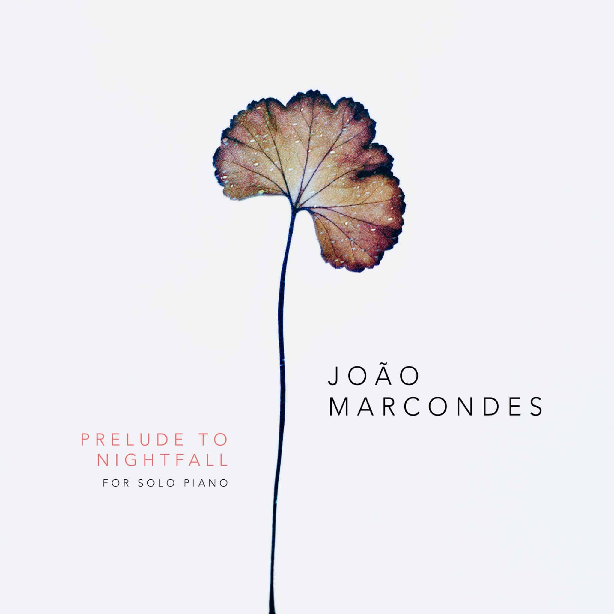 Azul Music lança álbum 'Prelude to Nightfall' | João Marcondes / Ariã Yamanaka revistaprosaversoearte.com - Azul Music lança álbum 'Prelude to Nightfall' | João Marcondes / Ariã Yamanaka