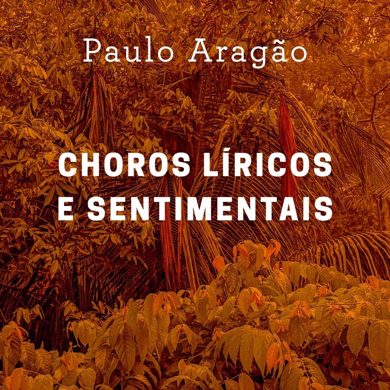 revistaprosaversoearte.com - Paulo Arag&atilde;o lan&ccedil;a o &aacute;lbum 'Choros L&iacute;ricos e Sentimentais'