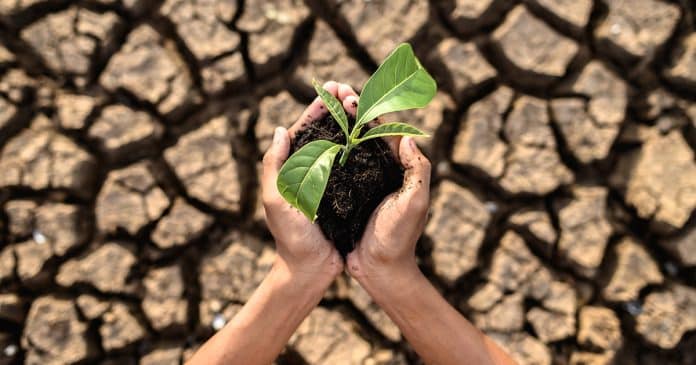 Como as mudanças climáticas e as desigualdades sociais estão interligadas