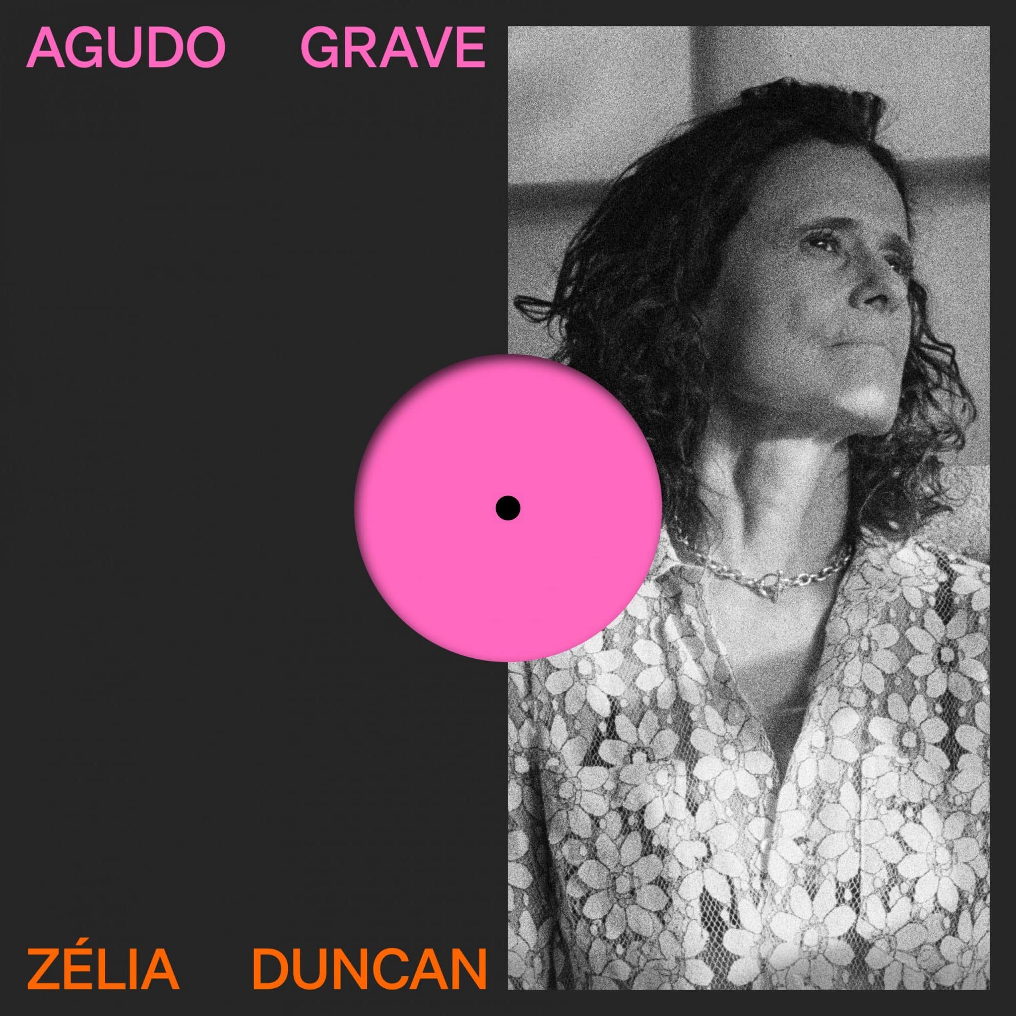 revistaprosaversoearte.com - Z&eacute;lia Duncan lan&ccedil;a single 'Agudo Grave'