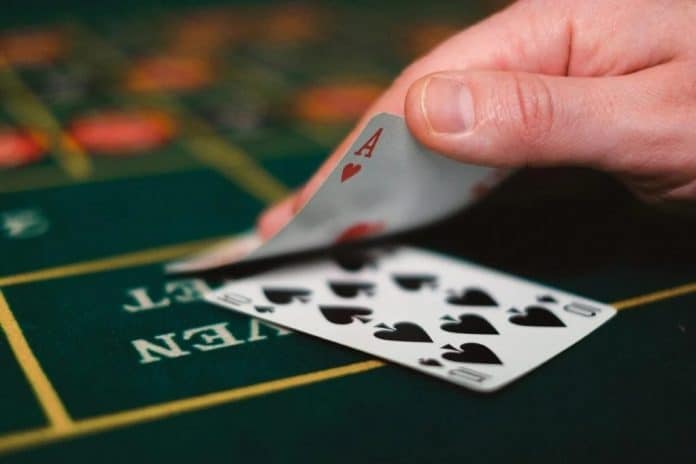 Jogue no Ginja Casino em 2026 e descubra registo, bónus e site oficial