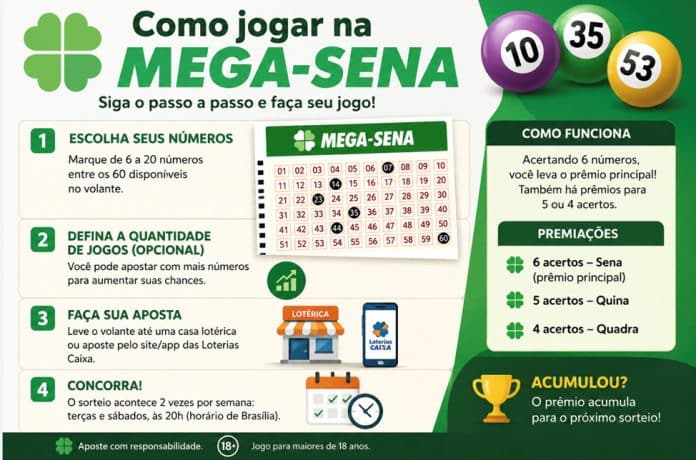 Como jogar na Mega-Sena: regras, valores e passo a passo